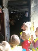 obisk kmetije KARLO  (06)